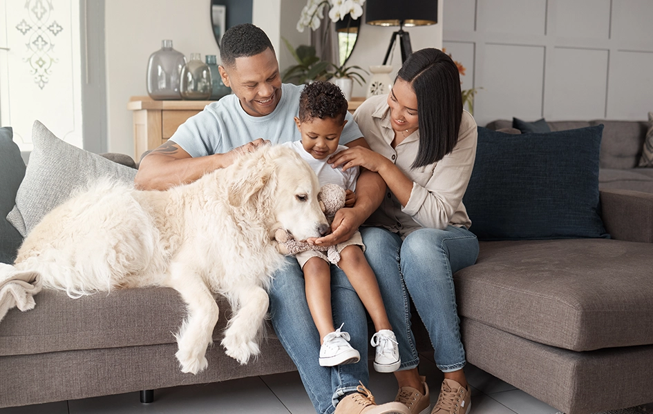 Indoor Air Quality banner